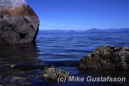 Mike Gustafsson Photography
