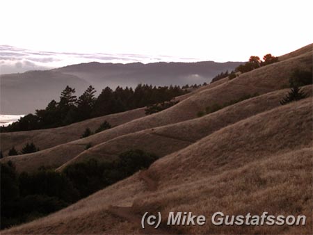 Mike Gustafsson Photography