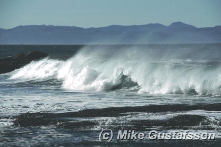 Mike Gustafsson Photography