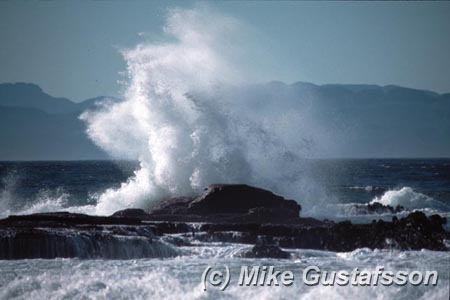Mike Gustafsson Photography