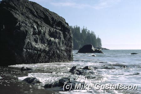 Mike Gustafsson Photography