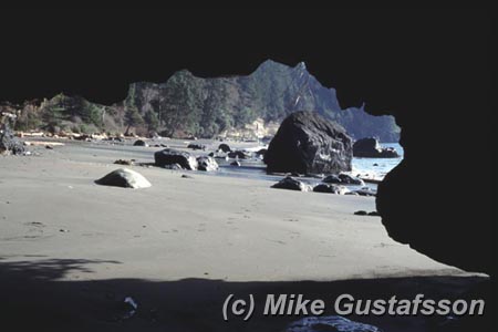 Mike Gustafsson Photography