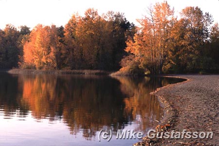 Mike Gustafsson Photography