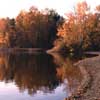 Image Thumbnail