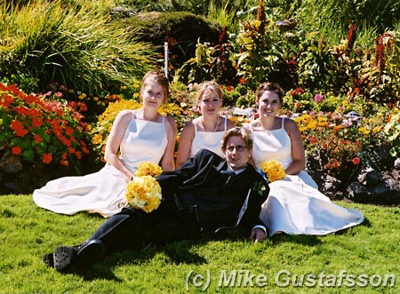 Mike Gustafsson Photography